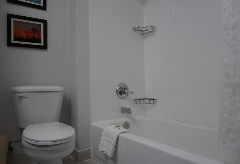 سوییت, Comfort Inn & Suites Frisco   Plano