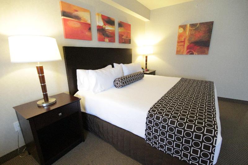 اتاق استاندارد با تخت بزرگ, Crowne Plaza Leon