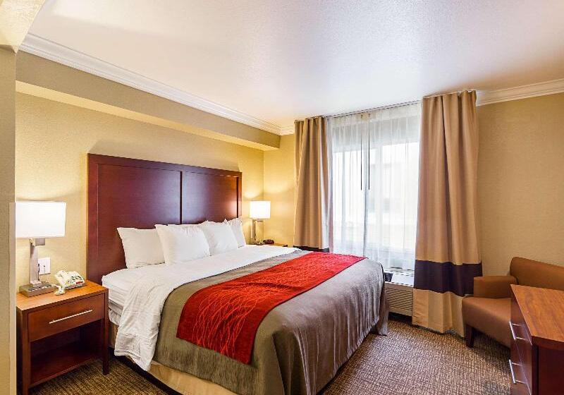 سوییت, Holiday Inn Dar Es Salaam, An Ihg