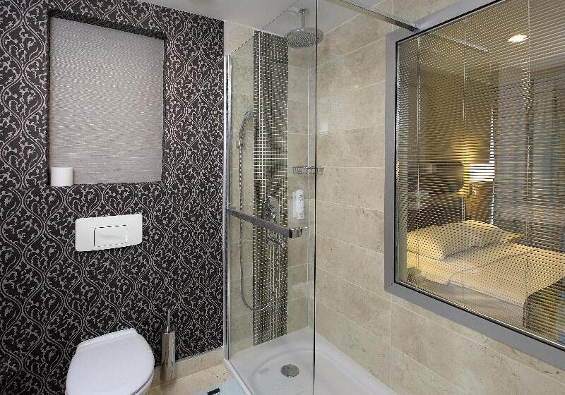 اتاق استاندارد برای معلولان, Holiday Inn Express Frisco Legacy Park Area By Ihg