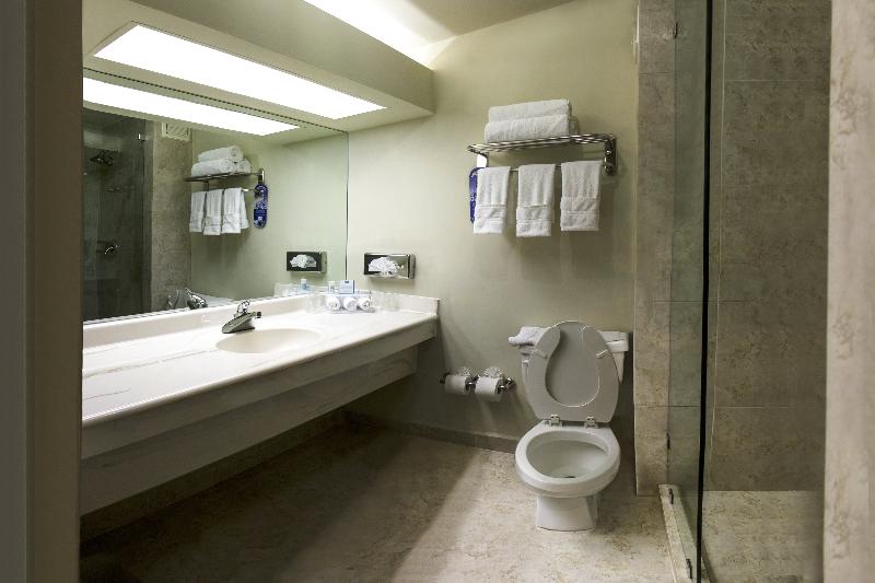 اتاق استاندارد با تخت بزرگ, Holiday Inn Express Piedras Negras, An Ihg