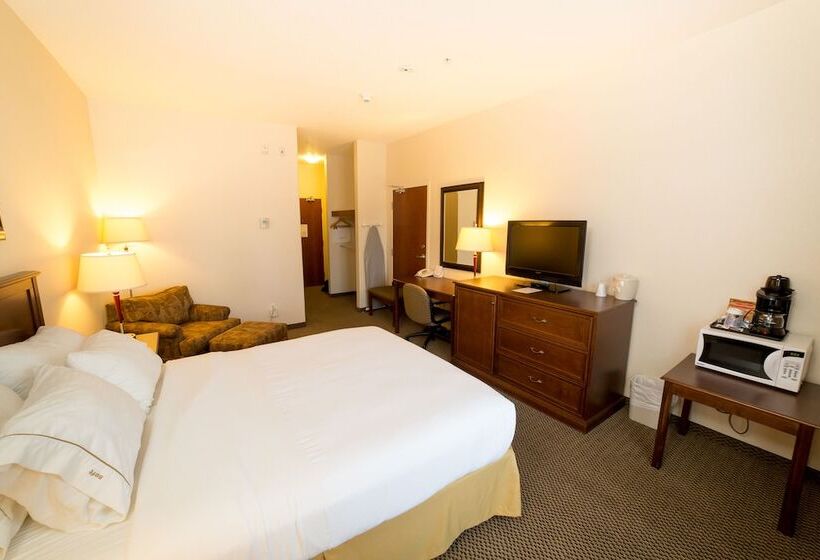 اتاق استاندارد, Holiday Inn Express & Suites Drayton Valley, An Ihg