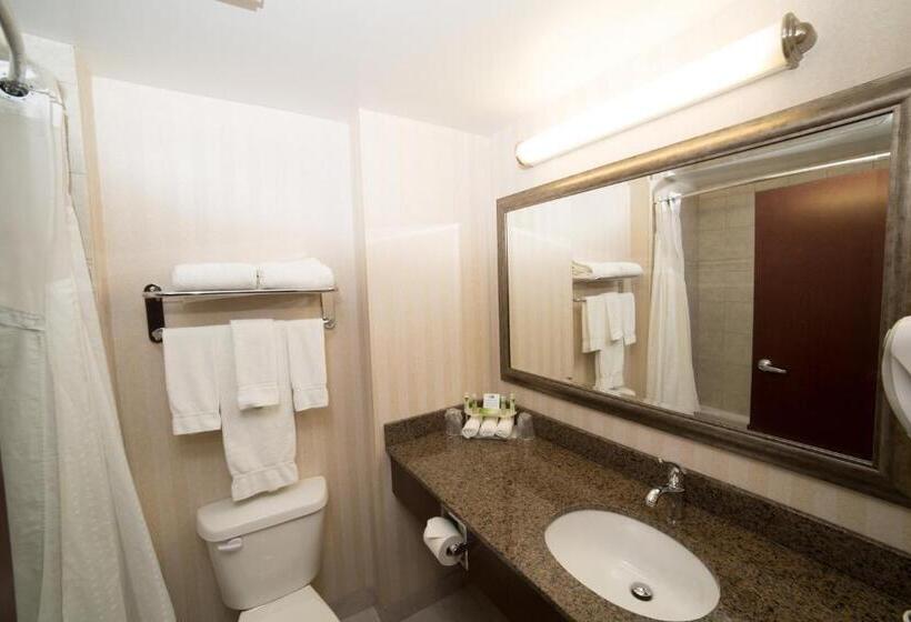 Quarto Standard Cama King, Holiday Inn Express & Suites Whitecourt