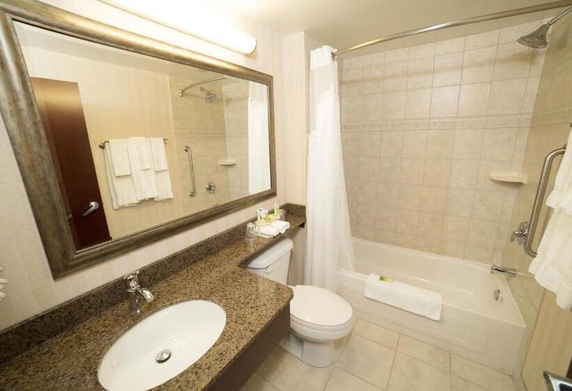 اتاق استاندارد با تخت بزرگ, Holiday Inn Express & Suites Whitecourt, An Ihg