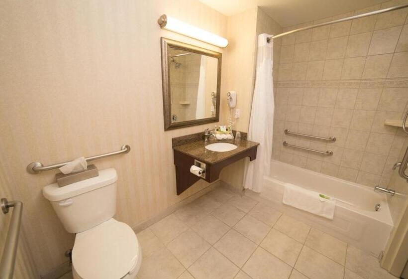 اتاق استاندارد با تخت بزرگ برای معلولان, Holiday Inn Express & Suites Whitecourt, An Ihg