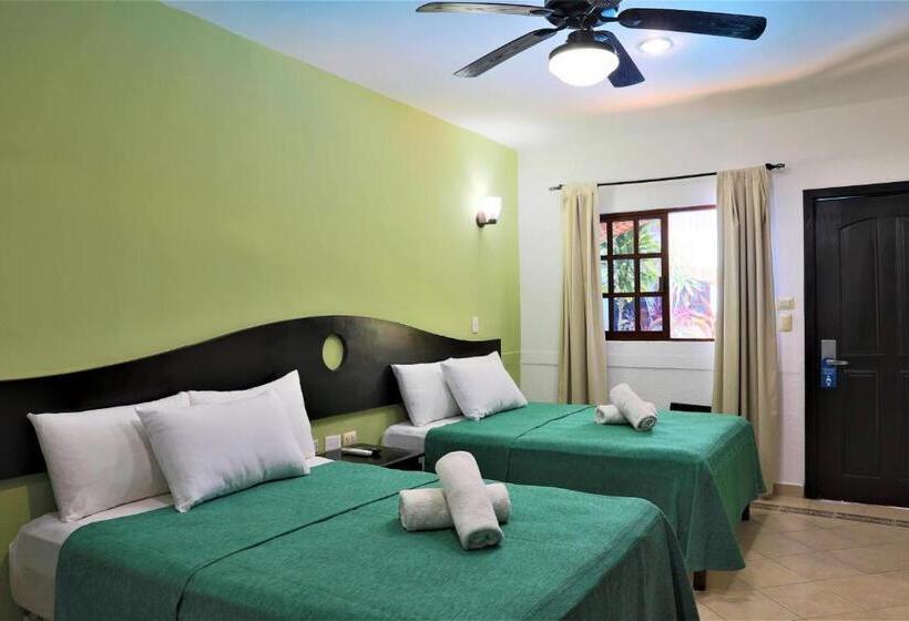 اتاق استاندارد با 2 تخت دوبل, Colonial Playa Del Carmen