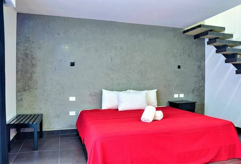 سوییت جونیور, Colonial Playa Del Carmen