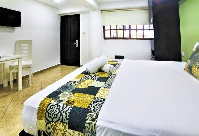 اتاق استاندارد, Colonial Playa Del Carmen
