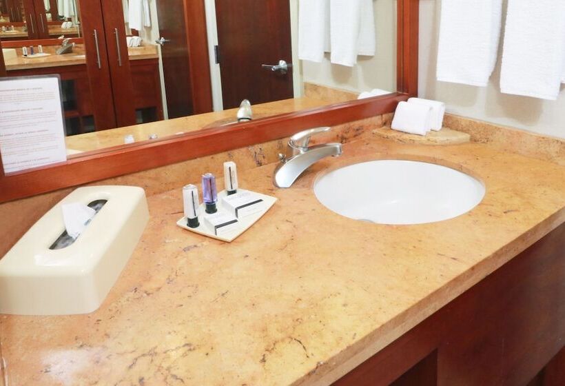 سوییت, Staybridge Suites Queretaro, An Ihg
