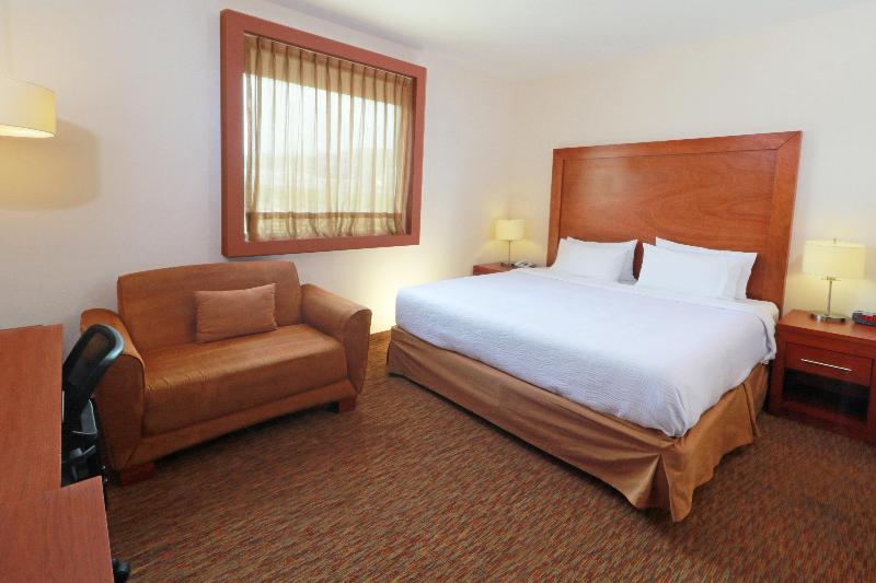 استودیو استاندارد با تخت کینگ, Staybridge Suites Queretaro, An Ihg