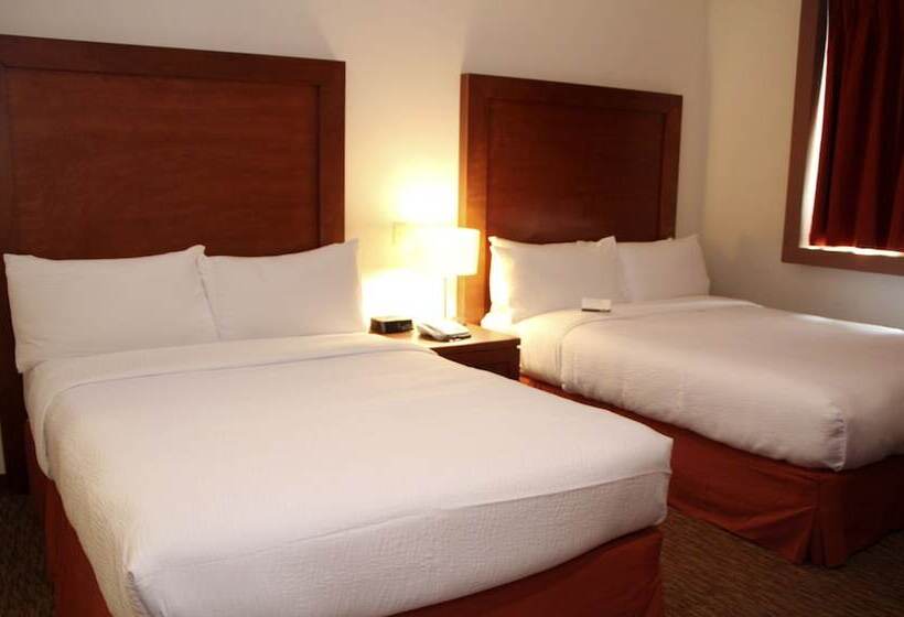 سوییت, Staybridge Suites Queretaro, An Ihg