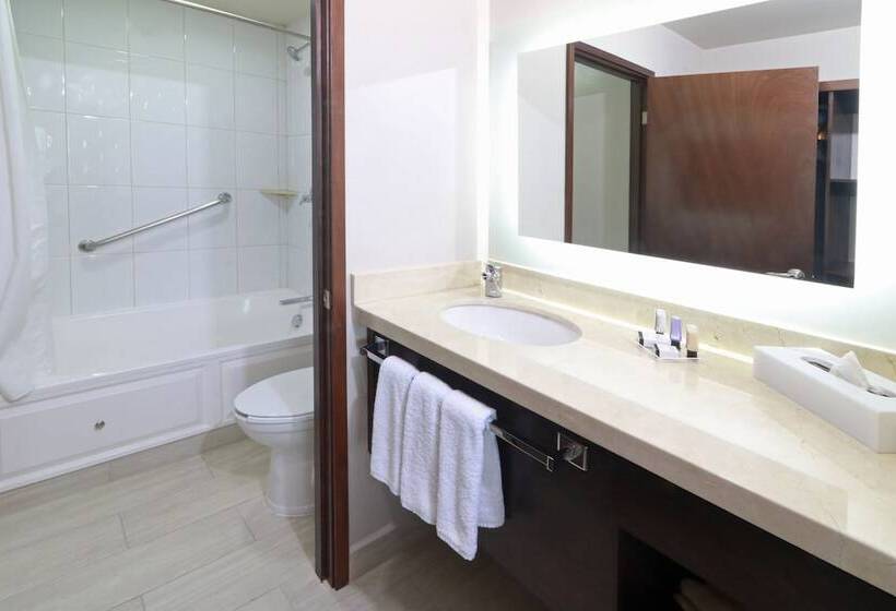 سوییت, Staybridge Suites Queretaro, An Ihg