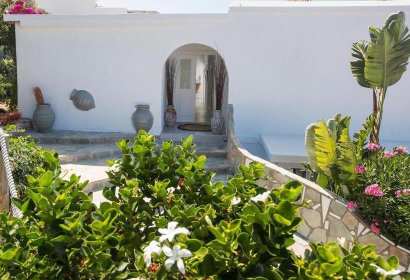 جناح ديلوكس, Paros Palace