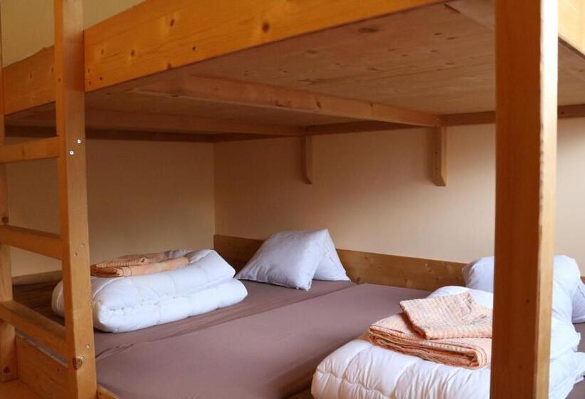 تختخواب در اتاق مشترک, Adrenalin Backpackers Hostel