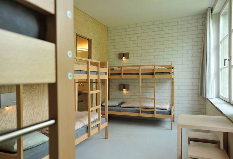 اتاق استاندارد با سرویس بهداشتی مشترک, Basel Youth Hostel