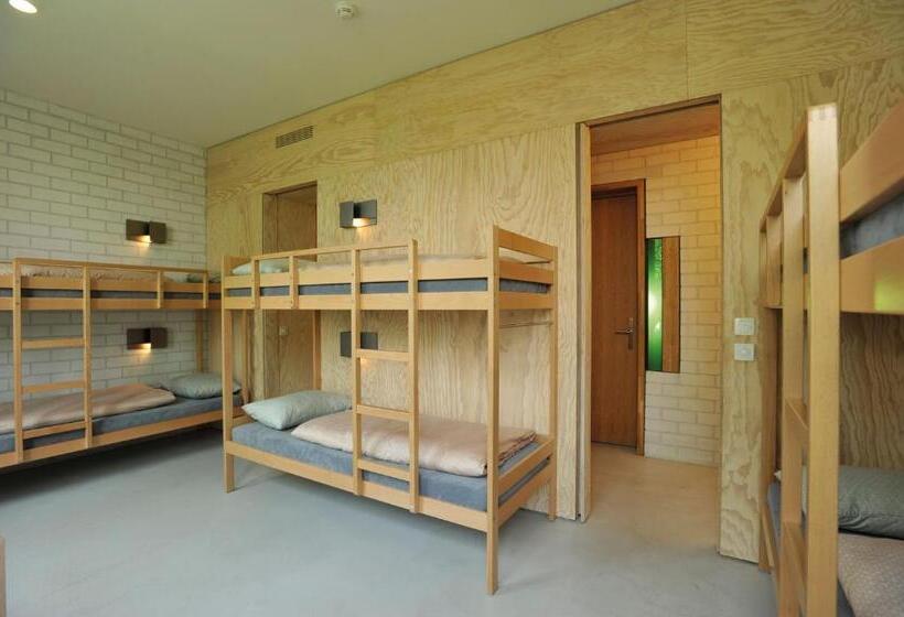 اتاق استاندارد با سرویس بهداشتی مشترک, Basel Youth Hostel