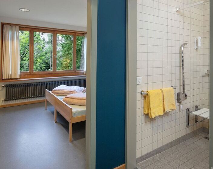 اتاق استاندارد یک نفره, Grindelwald Youth Hostel