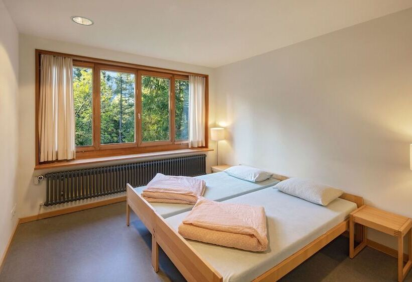 اتاق استاندارد یک نفره, Grindelwald Youth Hostel