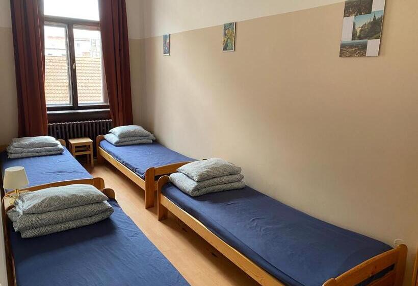 اتاق استاندارد چهارنفره با سرویس بهداشتی مشترک, Hostel Emma