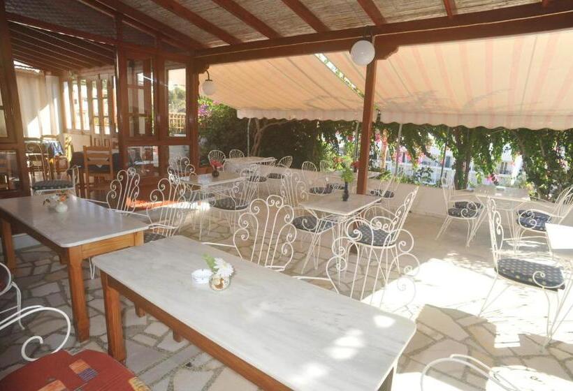 اتاق استاندارد یک نفره, Casteli