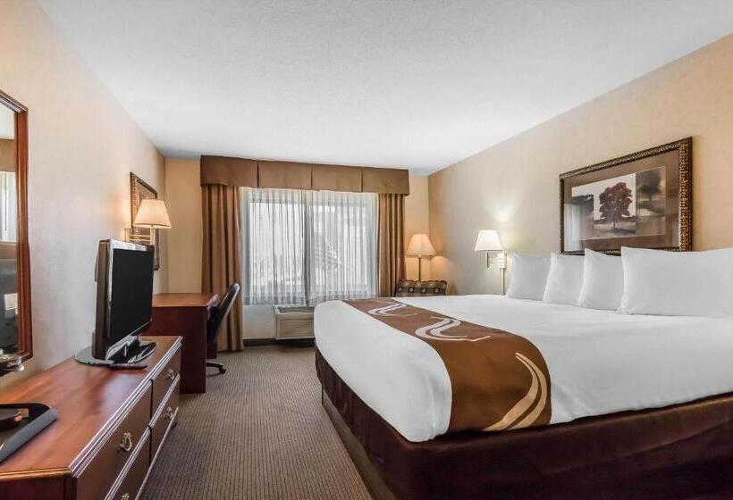 اتاق استاندارد با تخت بزرگ, Comfort Inn & Suites