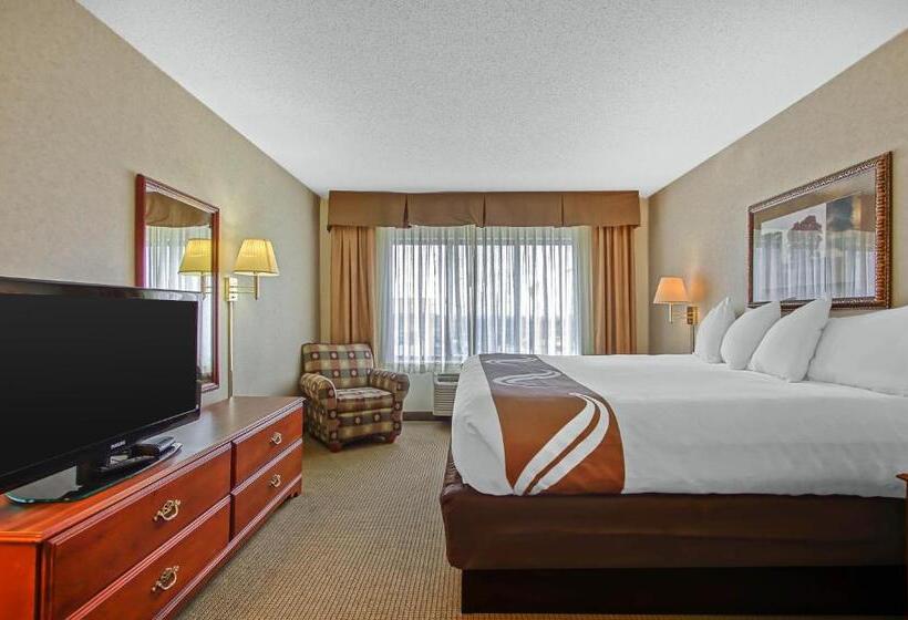 اتاق استاندارد با تخت بزرگ, Comfort Inn & Suites
