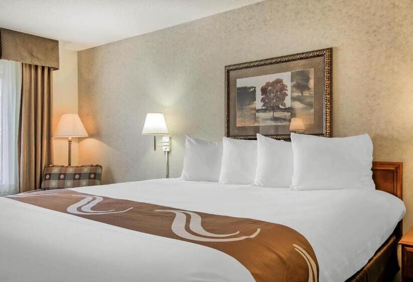 اتاق استاندارد با تخت بزرگ, Comfort Inn & Suites