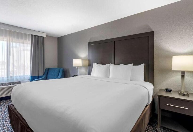 Chambre Standard Lit King Size, Comfort Inn & Suites