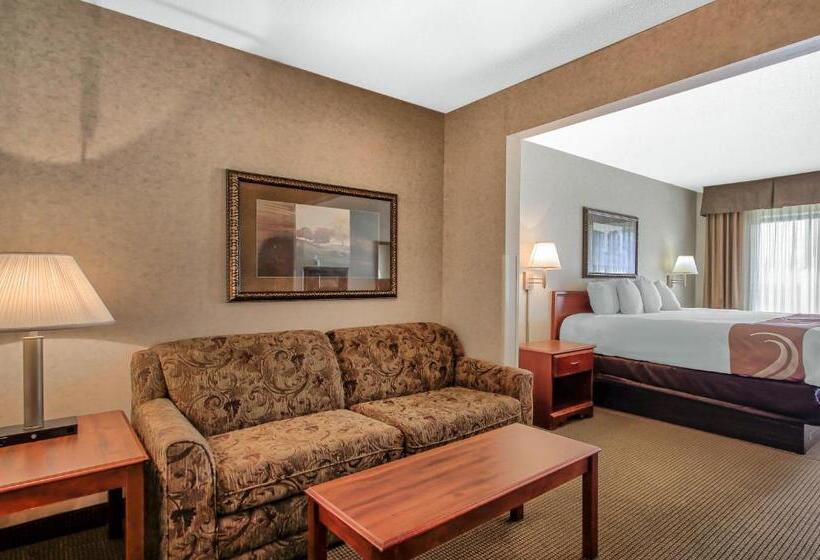 اتاق استاندارد با تخت بزرگ, Comfort Inn & Suites