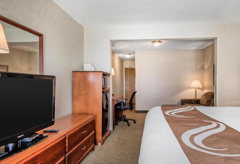 اتاق استاندارد با تخت بزرگ, Comfort Inn & Suites