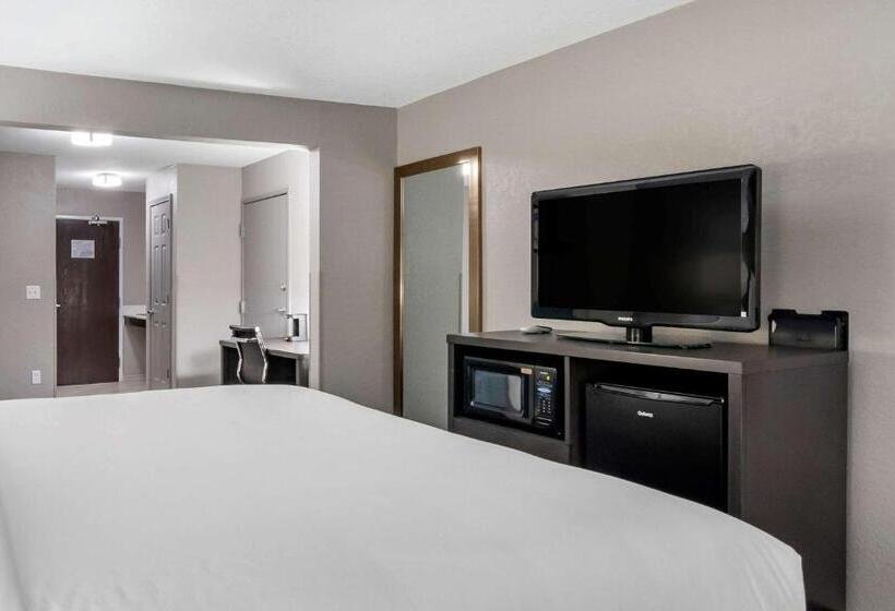 اتاق استاندارد با تخت بزرگ, Comfort Inn & Suites