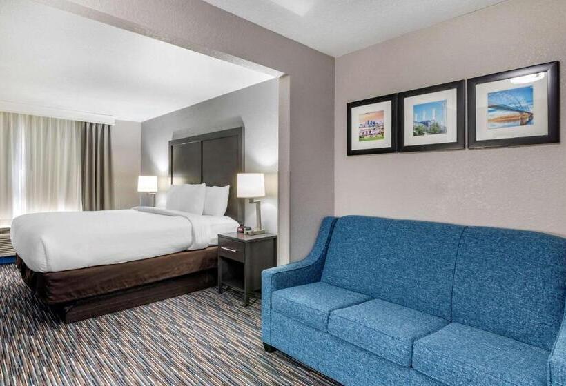 Chambre Standard Lit King Size, Comfort Inn & Suites