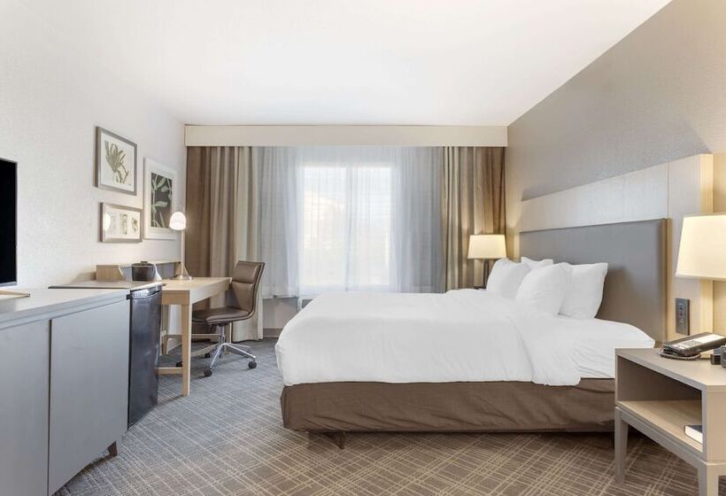 اتاق استاندارد با تخت دوبل, Comfort Inn & Suites Rustoneast