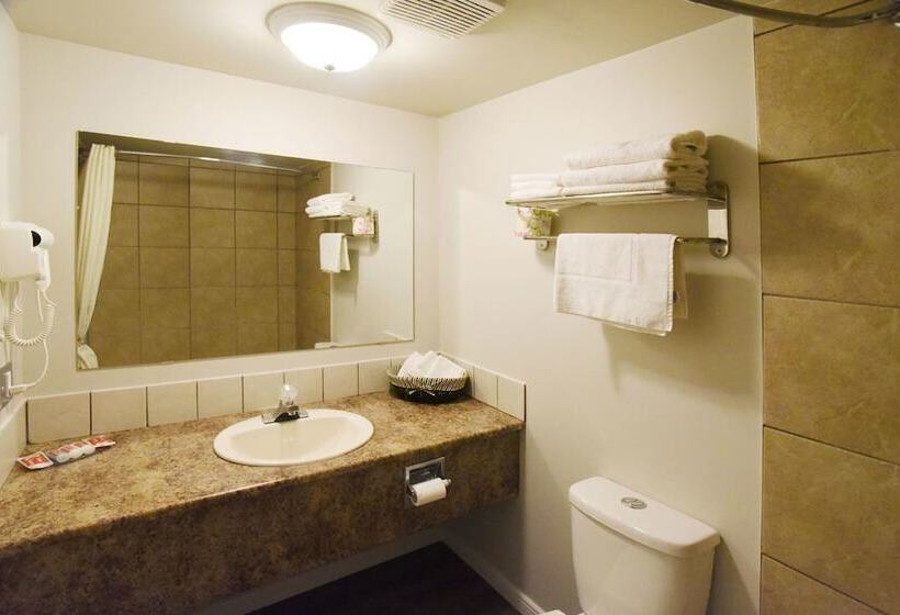 اتاق استاندارد, Econo Lodge Inn & Suites Drumheller