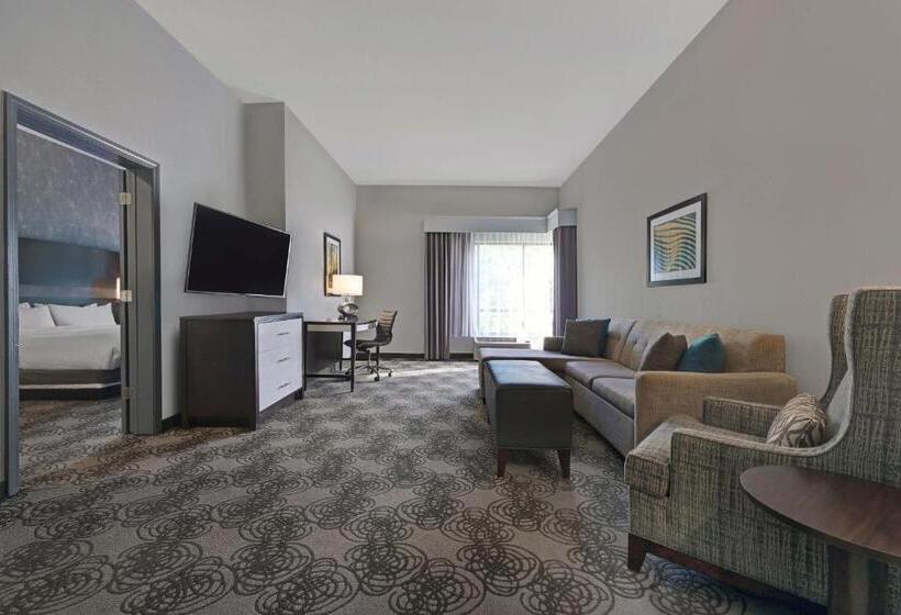 Suite Lit King, Four Points By Sheraton Birmingham Homewood