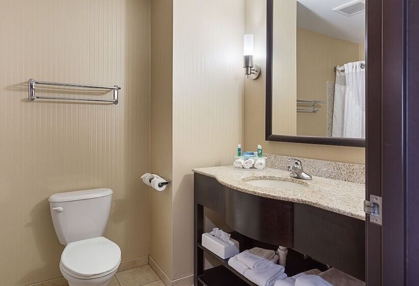 Suite, Holiday Inn Express  & Suites Byram