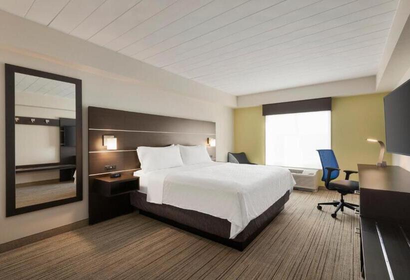 غرفة قياسية سرير كينج, Holiday Inn Express  & Suites Fort Myers West  The Forum