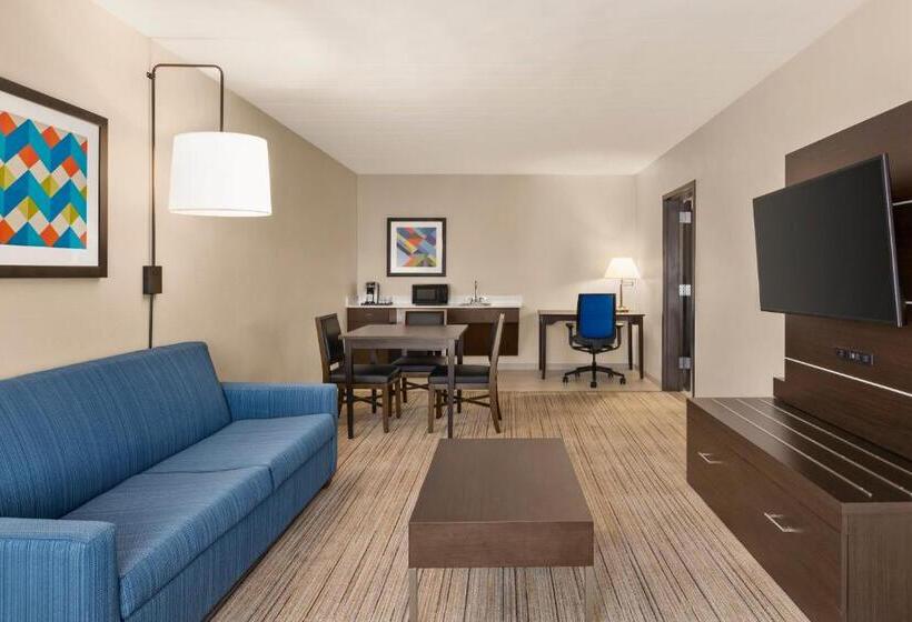 Suite, Holiday Inn Express  & Suites Fort Myers West  The Forum