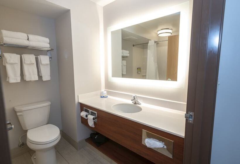 سوییت, Holiday Inn Express & Suites Iron Mountain, An Ihg