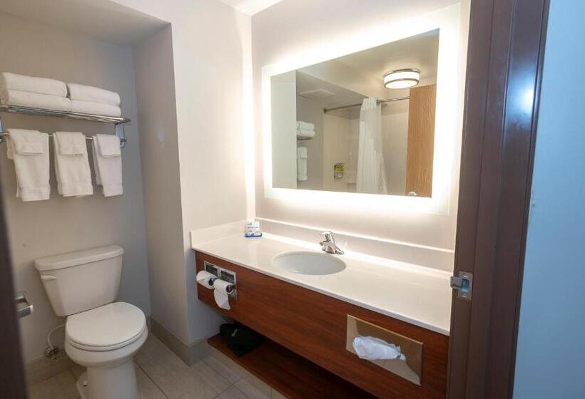 سوئیت با تخت بزرگ, Holiday Inn Express & Suites Iron Mountain, An Ihg