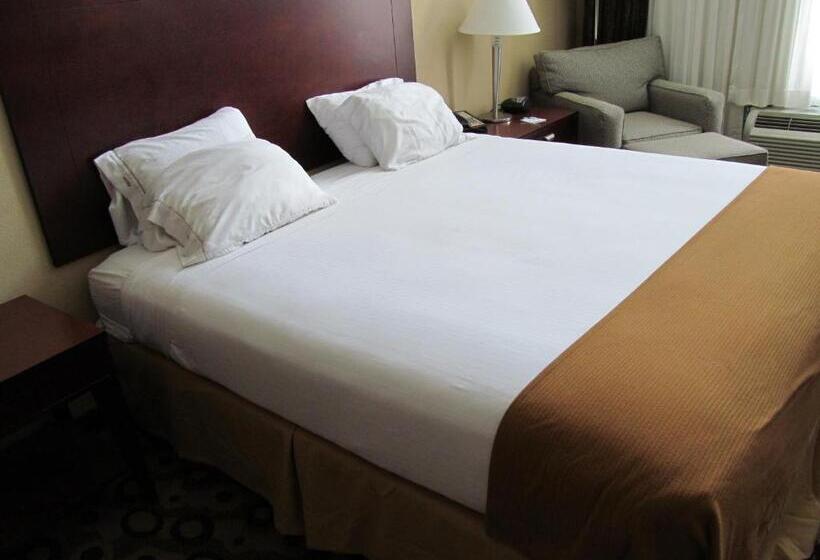 اتاق استاندارد با تخت بزرگ, Holiday Inn Express & Suites Macon   I 475, An Ihg