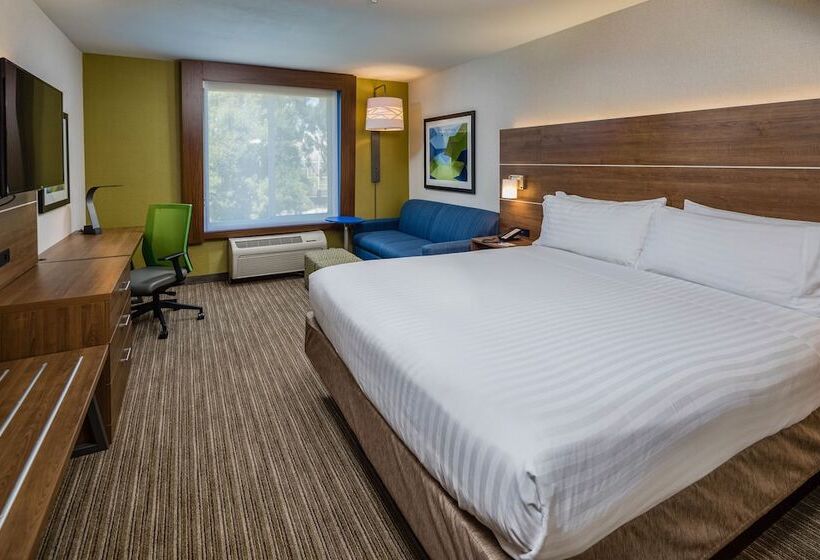 Suite, Holiday Inn Express  & Suites Modestosalida