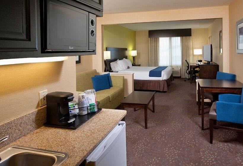 سوییت, Holiday Inn Express Hotel & Suites Saginaw, An Ihg