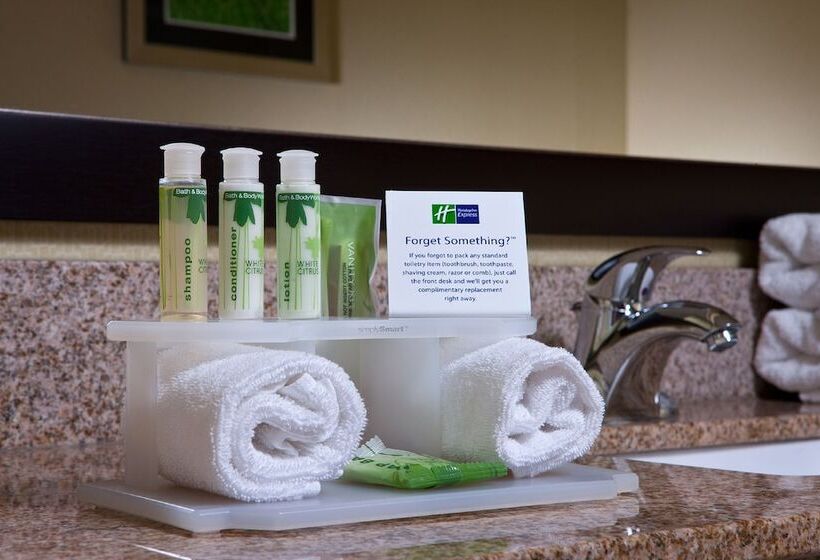 سوییت, Holiday Inn Express Hotel & Suites Saginaw, An Ihg