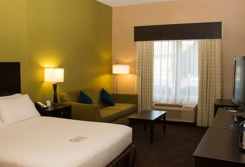 سوییت, Holiday Inn Express Hotel & Suites Saginaw, An Ihg