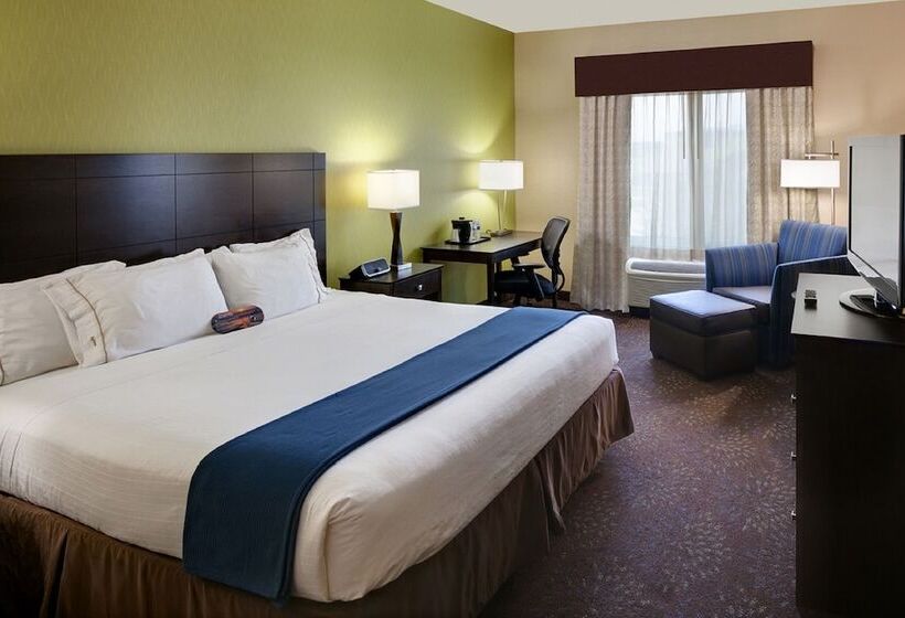 اتاق استاندارد, Holiday Inn Express  & Suites Saginaw