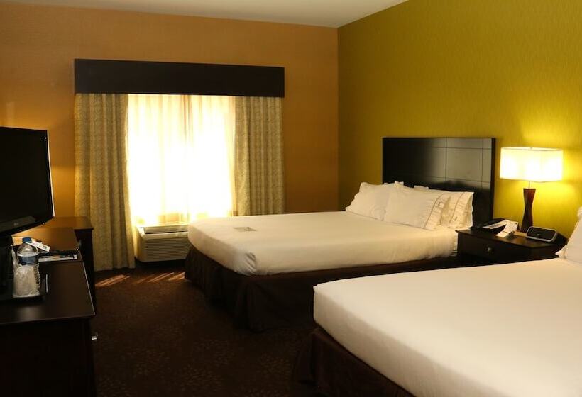 اتاق استاندارد, Holiday Inn Express  & Suites Saginaw