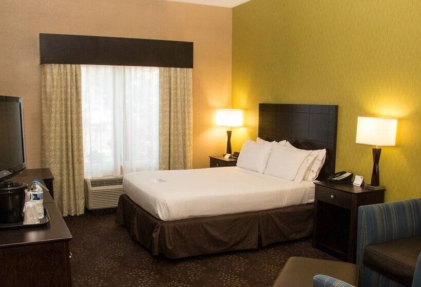 اتاق استاندارد, Holiday Inn Express  & Suites Saginaw