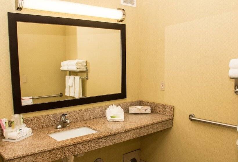 اتاق استاندارد, Holiday Inn Express  & Suites Saginaw