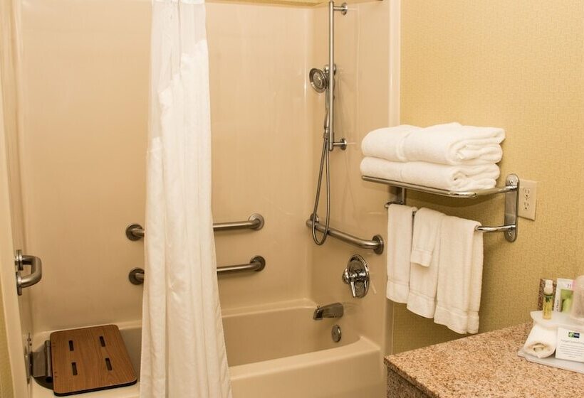 اتاق استاندارد با تخت دوبل برای معلولان, Holiday Inn Express  & Suites Saginaw